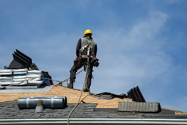 Professional Roofing technician working in Hanley Falls, MN